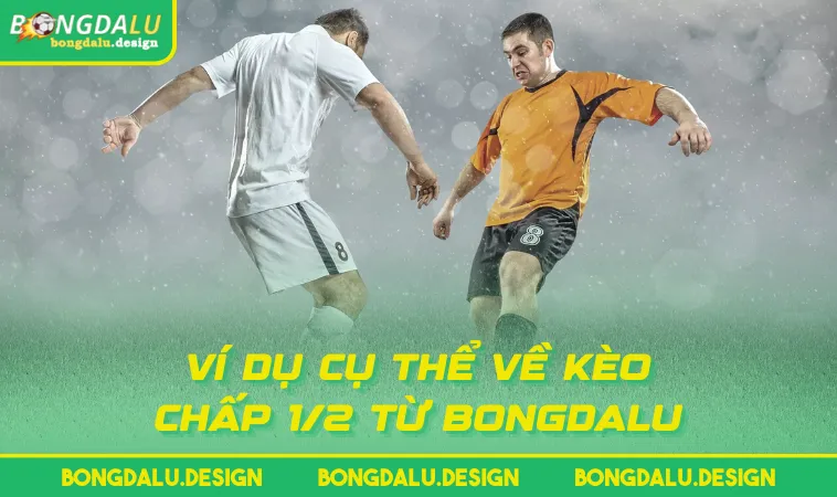 Ví dụ cụ thể về kèo chấp 1/2 từ BONGDALU